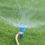 Lawn Care Tip #2 – Watering Your Lawn