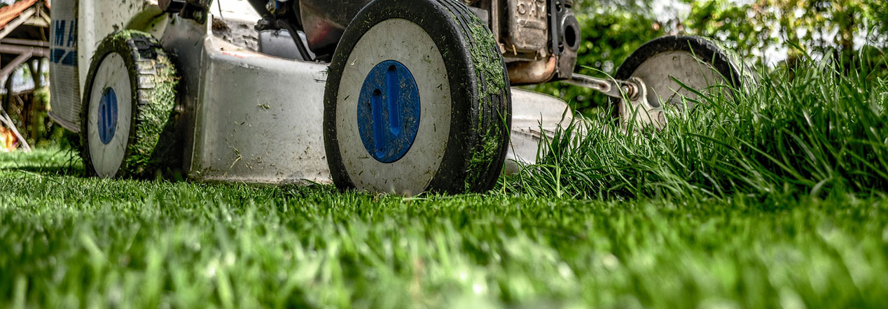 Lawn Care Tip #1 – Mowing Your Lawn