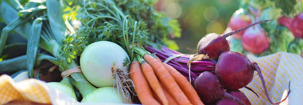 Three Tips For A Bountiful Kitchen Garden Harvest